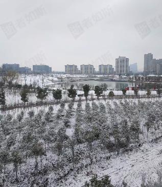 不知不觉又一年过去，2026年 来了。